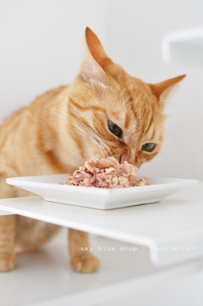 耳でチェック！うしろ気になる