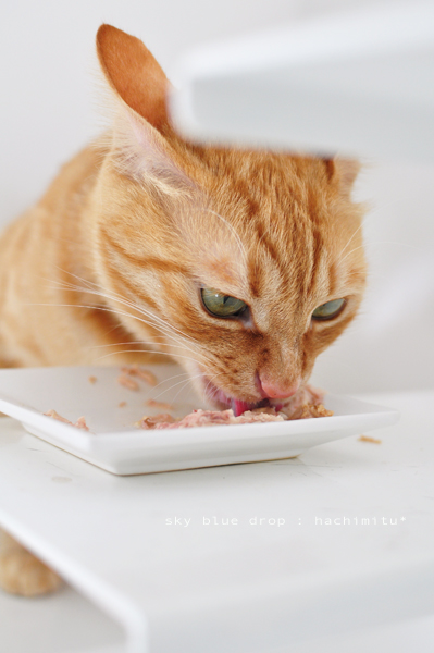 耳でチェック！気になって仕方がない