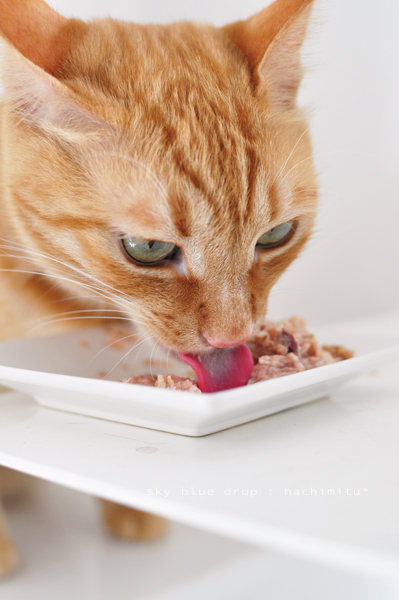 耳でチェック！どうしても気になる