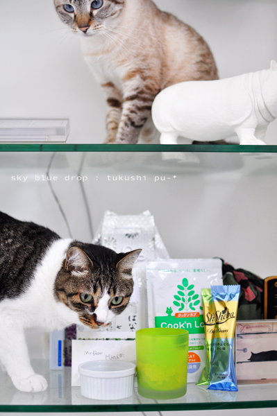 ふたりして・・