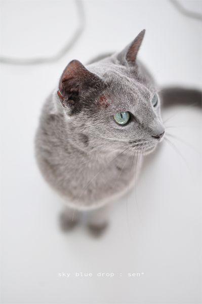 ねろねろねーろね