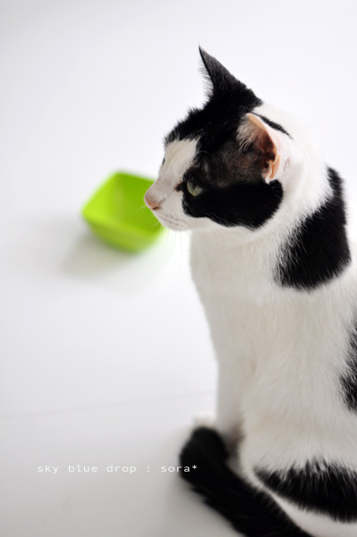 今朝のそらさん２