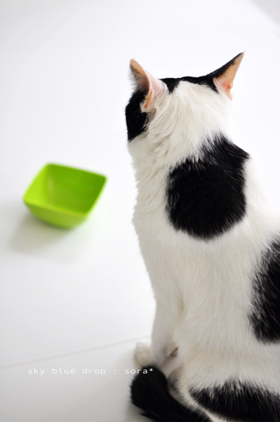 今朝のそらさん３