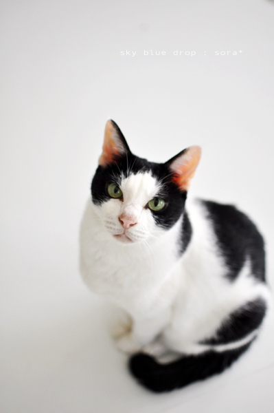 今朝のそらさん４