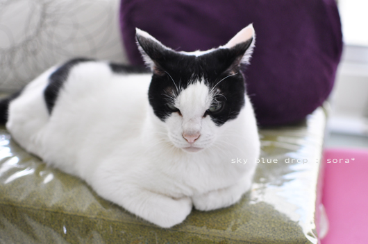 今朝のそらさん５