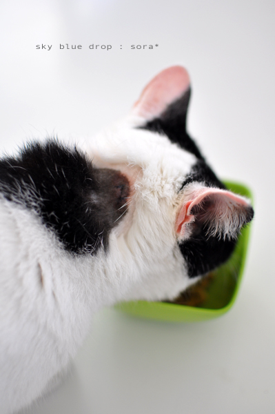 ふた針ぬいました。