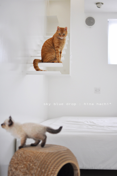 横目でこっそり