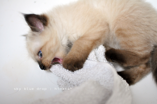 テンション上がる↑