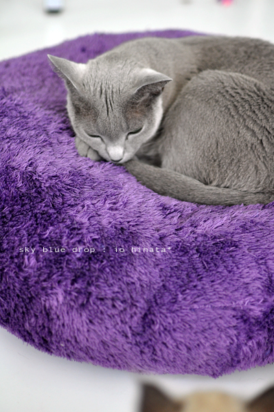 まさかの無視??