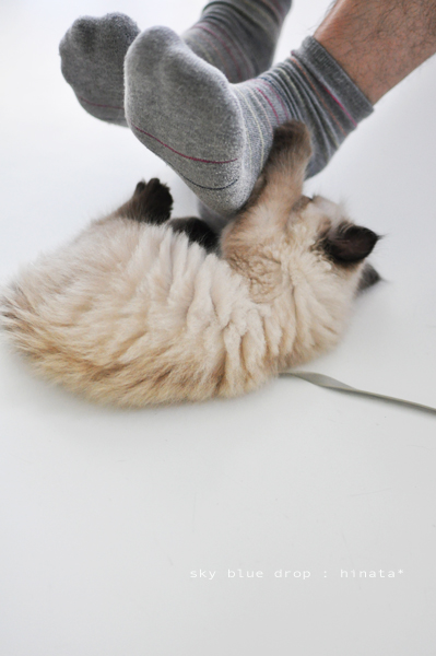 キック!キック!キーック!