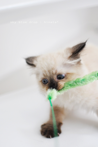 ドコいらへん？？