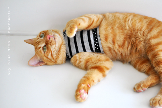 ハーネスはち２