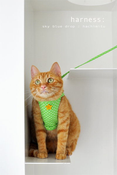 ハーネスはち３