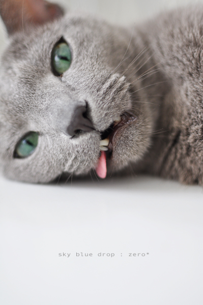 激しく横から出ています