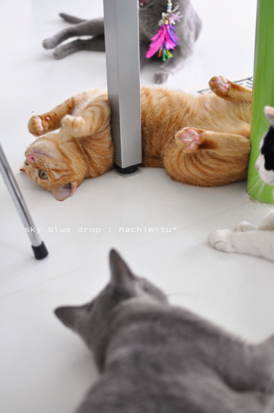 くねくねダンス