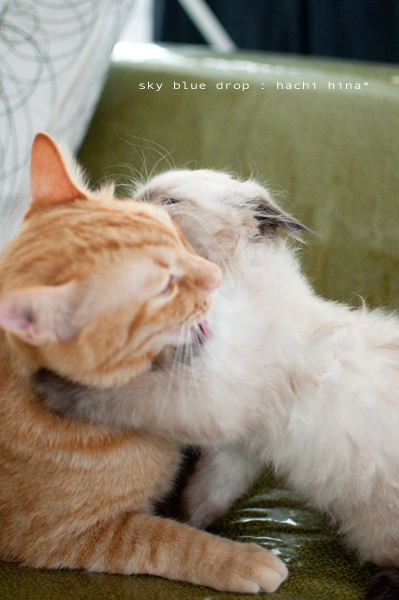 ぱっと見ラブラブ