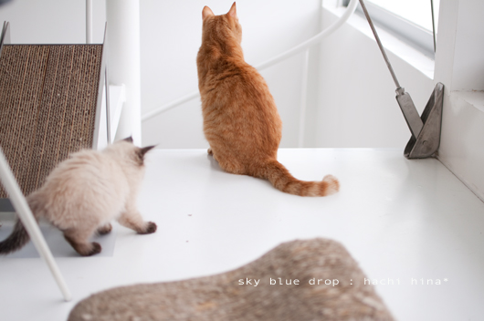 アゲインアゲイン