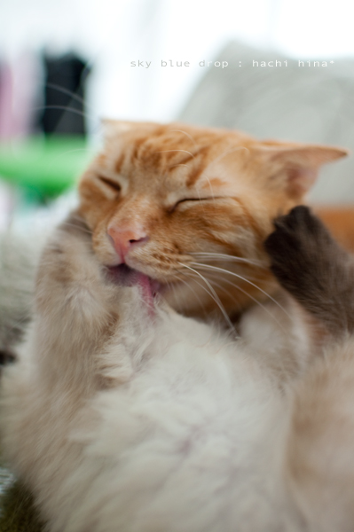 ちょっとテンション復活