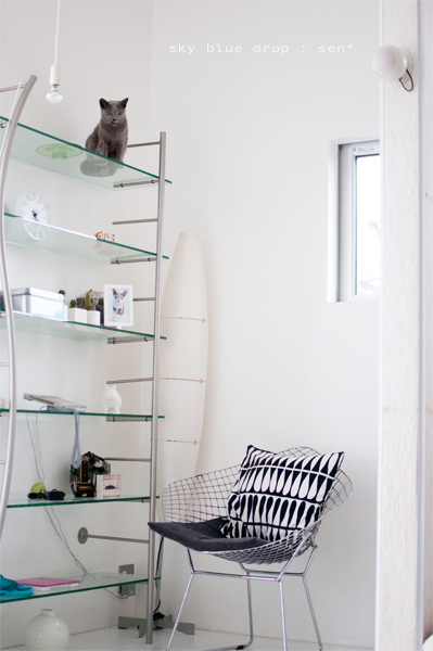 余裕のよっちゃん