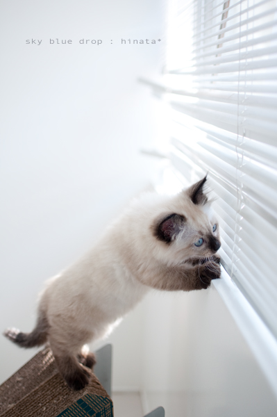 超気になるんですけどぉ