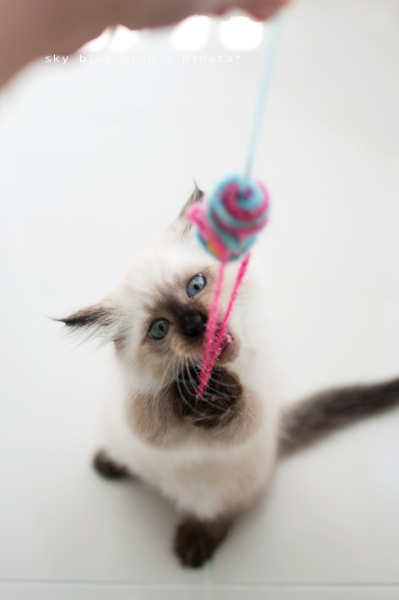 ハイテンションガール3