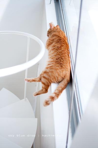 思いのほか高い