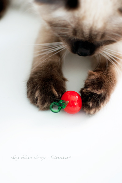 ひなのモノ～♪