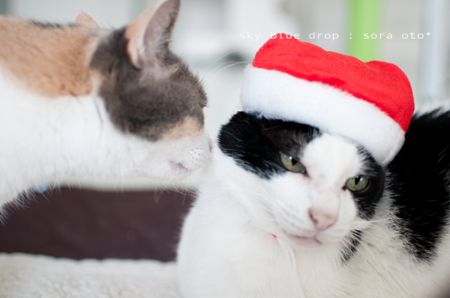 知ってる様で知らない様で・・