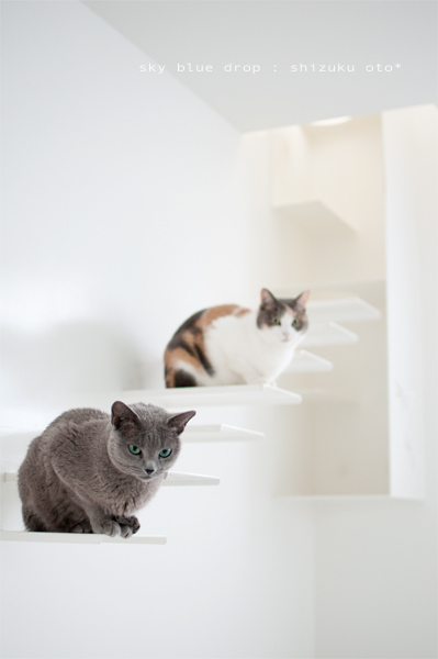 オトとしーちゃん