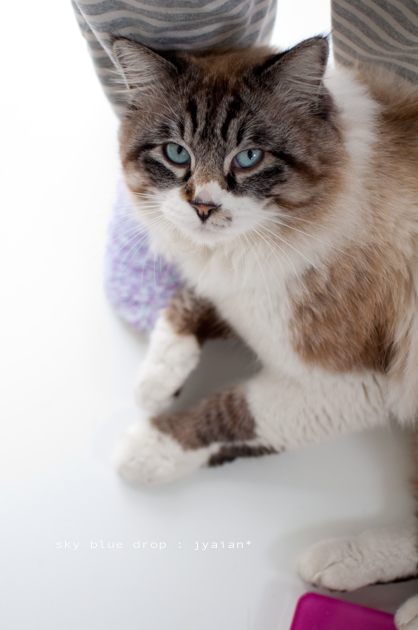 うまいこと乗るぜぇ