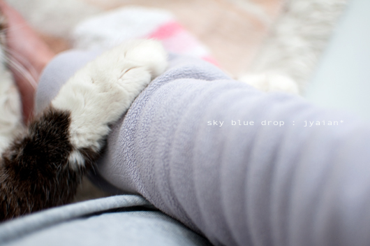 たまらーん！！