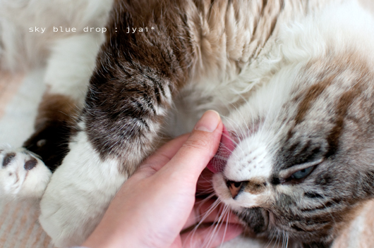 噛んでないトコロ1