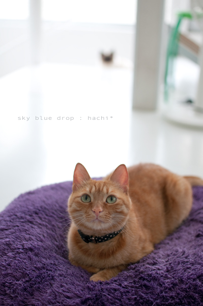 うーん・・ちょっとね