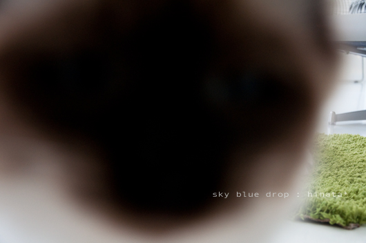 念押し確認ちう