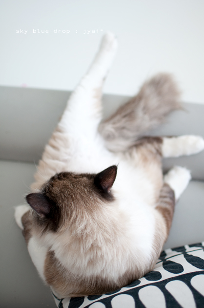 その後ろ姿は？？