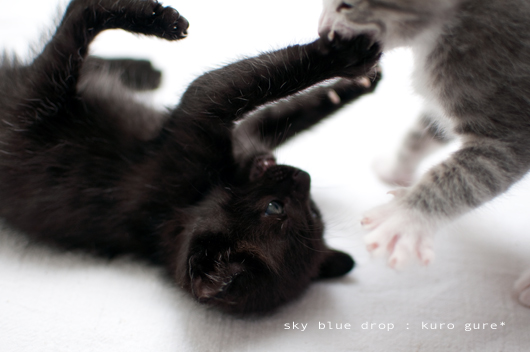 ちびっこギャング2