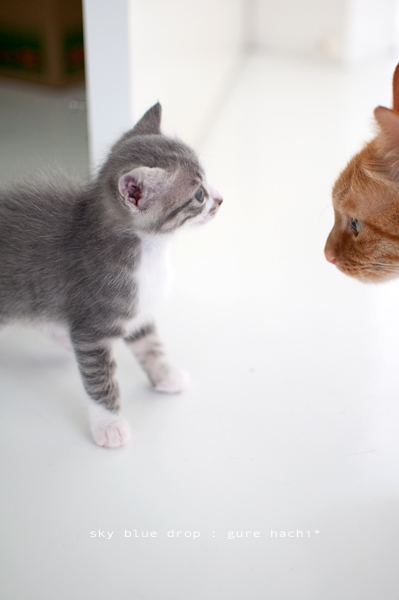 お子守り部隊 2号
