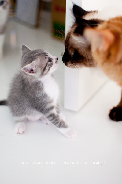 お子守り部隊 3号??