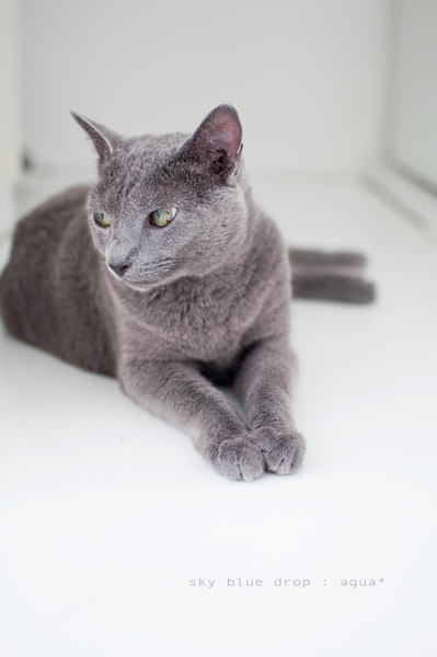 落ち込んでおる(涙)