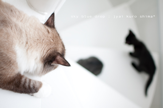 心配ジャイパパ