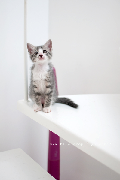 行けるかな？？