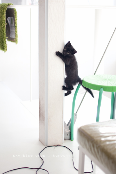 じょうずに出来た♪