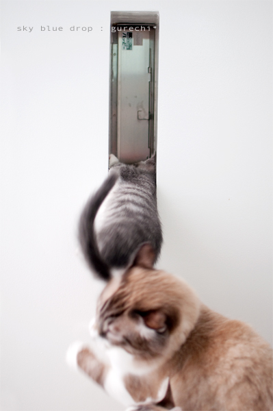 ポスト５キﾉウハ