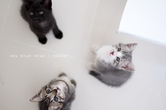 見上げるベイビーズ