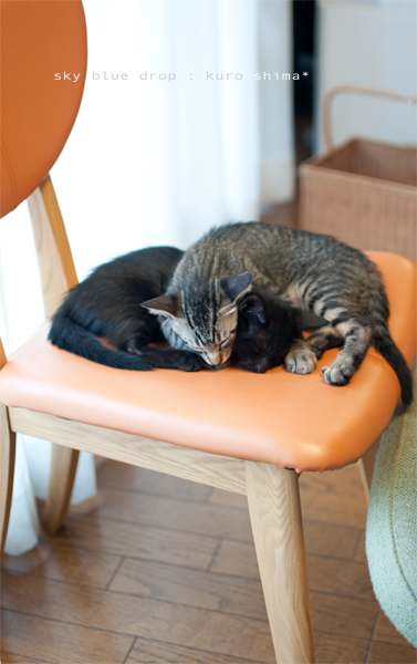 一緒はいいね♪