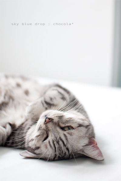 やっぱり見てる