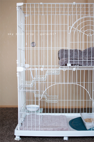 ぐれちケージスペシャル