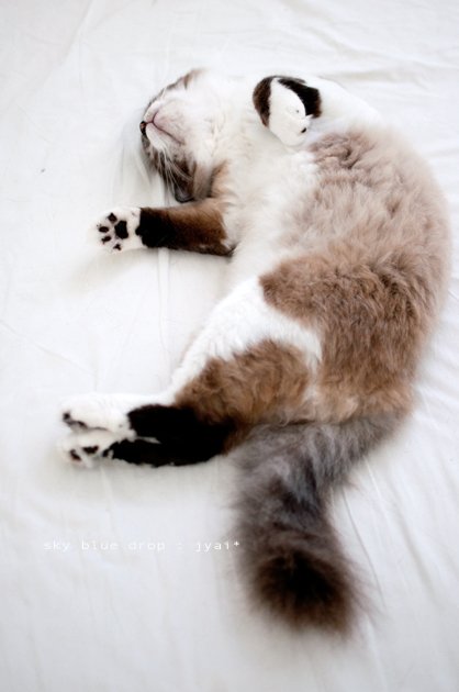 でろーん2:ハロー♪