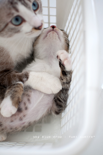 イイコイイコ♪