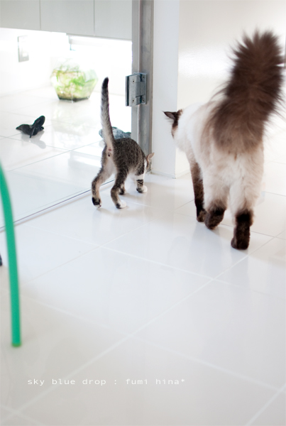 そそくさ そそくさ